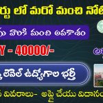 District Court Jobs Notification 2025 | Latest Govt Jobs In Telugu